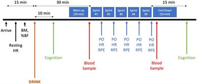 Acute consumption of a branched chain amino acid and vitamin B-6 containing sports drink does not improve multiple sprint exercise performance, but increases post-exercise blood glucose